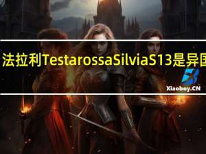 法拉利Testarossa Silvia S13是异国情调