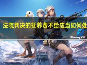 法院判决的抚养费不给应当如何处理呢