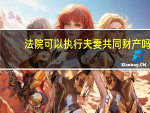 法院可以执行夫妻共同财产吗