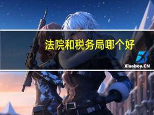 法院和税务局哪个好