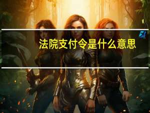 法院支付令是什么意思