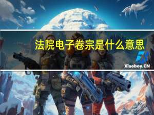 法院电子卷宗是什么意思（卷宗是什么意思）