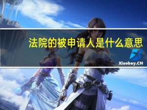 法院的被申请人是什么意思