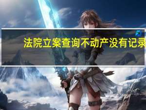 法院立案查询不动产没有记录（法院立案查询系统）