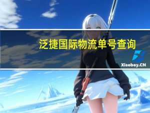 泛捷国际物流单号查询（泰快国际物流单号查询）