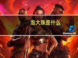 泡大珠是什么