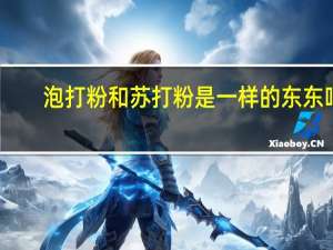 泡打粉和苏打粉是一样的东东吗