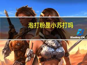 泡打粉是小苏打吗