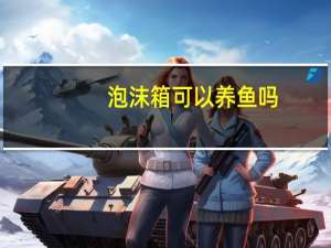 泡沫箱可以养鱼吗