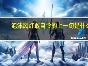 泡沫风灯敢自怜的上一句是什么