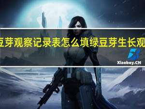 泡豆芽观察记录表怎么填 绿豆芽生长观察记录表