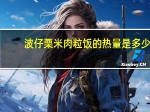 波仔 栗米肉粒饭的热量是多少