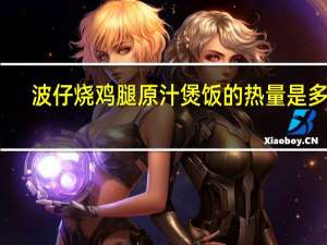 波仔 烧鸡腿原汁煲饭的热量是多少