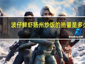 波仔 鲜虾扬州炒饭的热量是多少