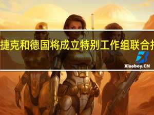 波兰、捷克和德国将成立特别工作组联合打击非法移民