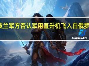 波兰军方否认军用直升机飞入白俄罗斯领空