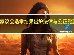 波兰国家议会选举结果出炉 法律与公正党赢得最多席位
