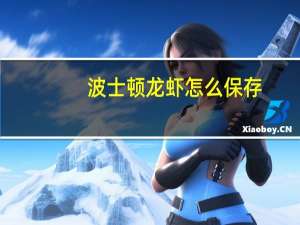 波士顿龙虾怎么保存