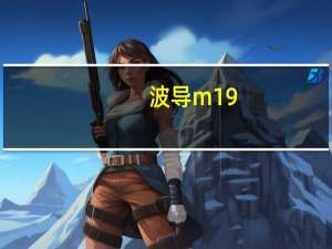 波导m19（波导M19的性能怎样呀）