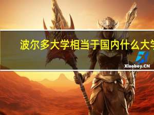 波尔多大学相当于国内什么大学