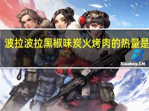 波拉波拉 黑椒味炭火烤肉的热量是多少