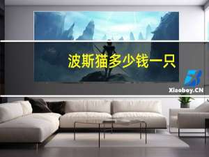 波斯猫多少钱一只