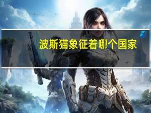 波斯猫象征着哪个国家