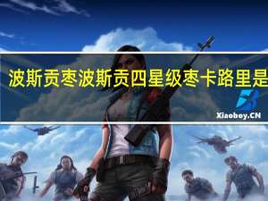 波斯贡枣 波斯贡 四星级枣卡路里是多少