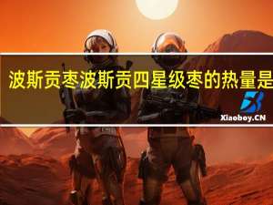 波斯贡枣 波斯贡 四星级枣的热量是多少