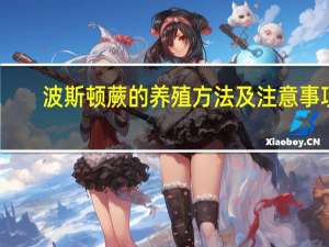 波斯顿蕨的养殖方法及注意事项：喜温暖、湿润及半阴环境