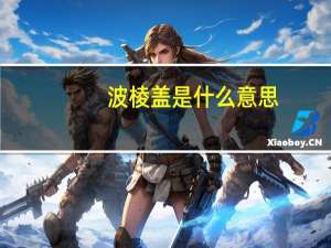 波棱盖是什么意思