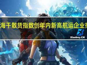 波罗的海干散货指数创年内新高 航运企业择机扩充运力