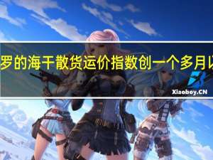 波罗的海干散货运价指数创一个多月以来新高