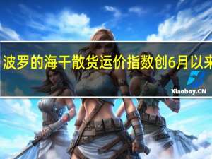 波罗的海干散货运价指数创6月以来新高