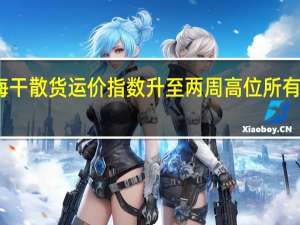 波罗的海干散货运价指数升至两周高位所有船型运费攀升