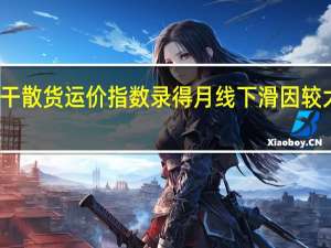 波罗的海干散货运价指数录得月线下滑因较大型船运费下降