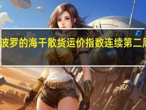 波罗的海干散货运价指数连续第二周下跌