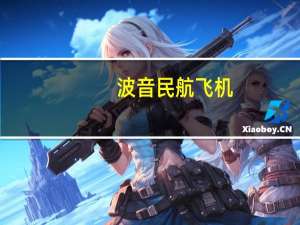 波音民航飞机（驾驶波音客机）