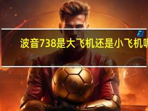 波音738是大飞机还是小飞机呢（波音738是大飞机还是小飞机）