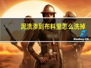 泥渍渗到布料里怎么洗掉