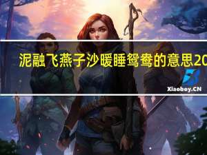 泥融飞燕子沙暖睡鸳鸯的意思20字（泥融飞燕子 沙暖睡鸳鸯的意思）