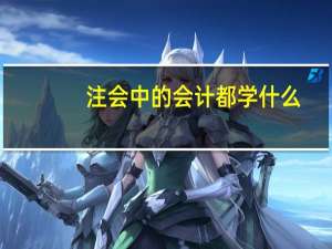 注会中的会计都学什么