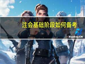 注会基础阶段如何备考