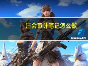 注会审计笔记怎么做