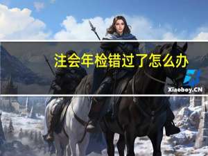 注会年检错过了怎么办