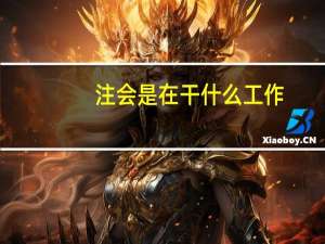 注会是在干什么工作