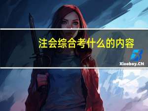 注会综合考什么的内容