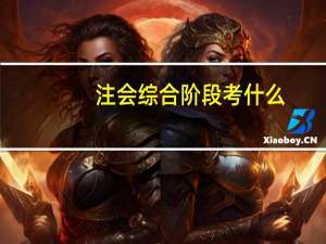 注会综合阶段考什么