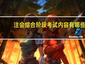 注会综合阶段考试内容有哪些