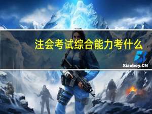 注会考试综合能力考什么